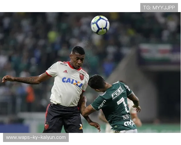 弗拉门戈中场拦截成功率高